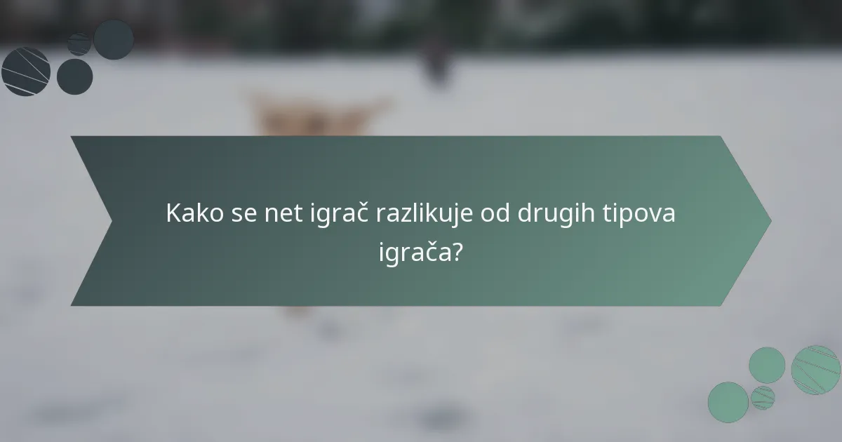Kako se net igrač razlikuje od drugih tipova igrača?