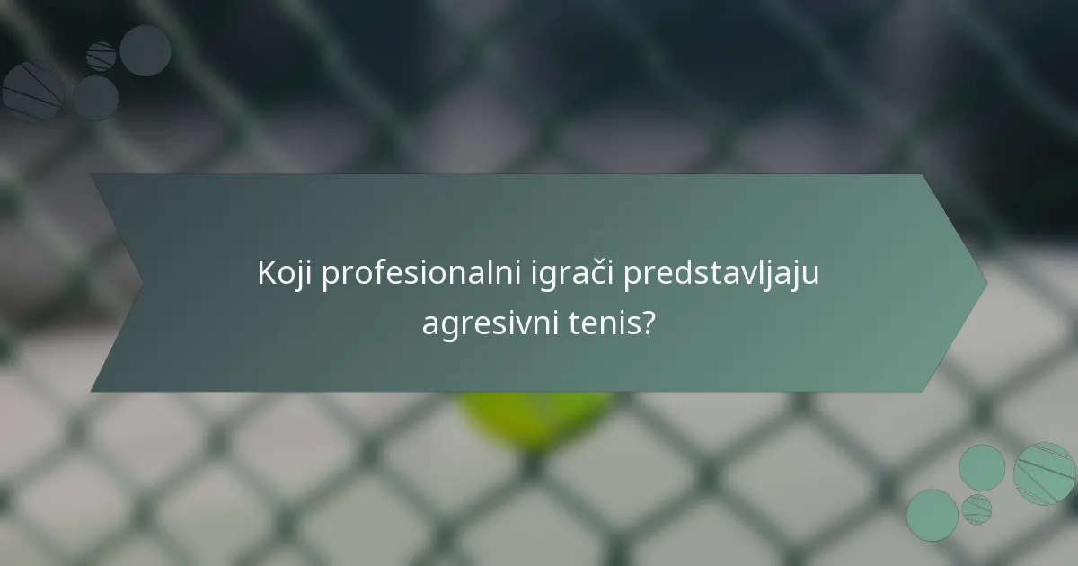 Koji profesionalni igrači predstavljaju agresivni tenis?