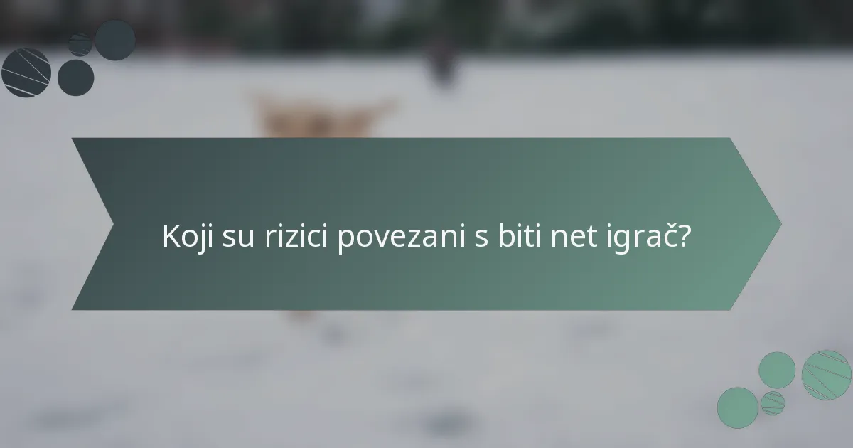 Koji su rizici povezani s biti net igrač?